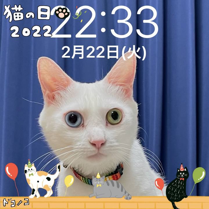 801aae10 d5ae 4dd2 ada8 7096793e787e 1645537277975