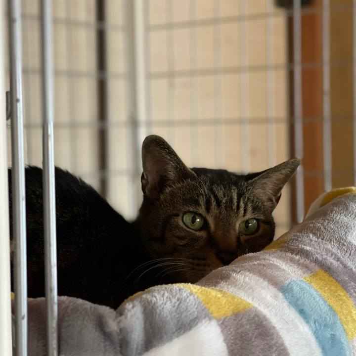 801ab16a dbf2 484d 89ab 05e18adcfaa8 1618537330210