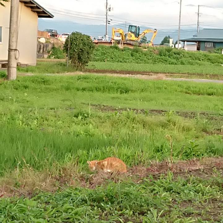 801ab358 cd34 413c 8ea1 e97773cad2a2 1594978171157