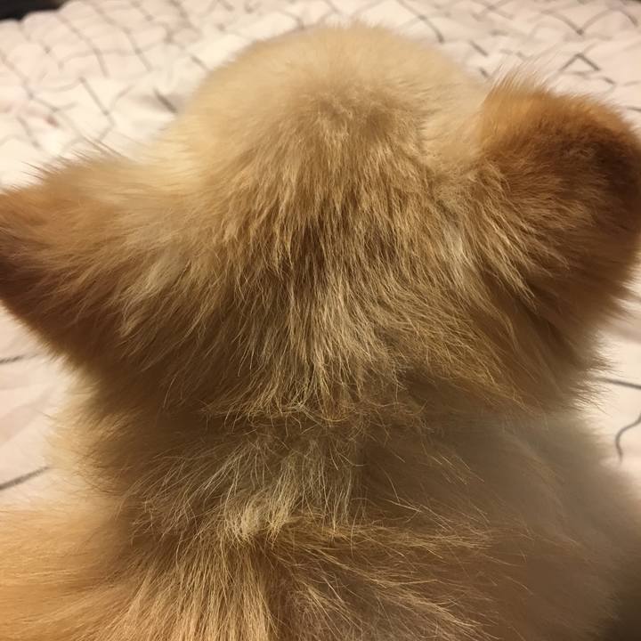 801b320f 488c 4319 ab70 5ee08ac4f52b 1543880960225