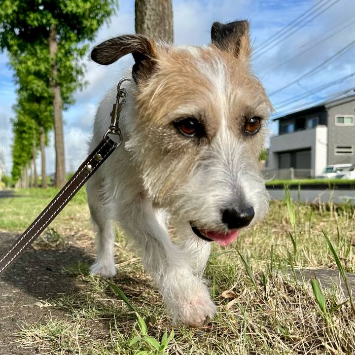 801b4a80 5951 49c1 8087 ba03e9e3a5c9 1752991636274