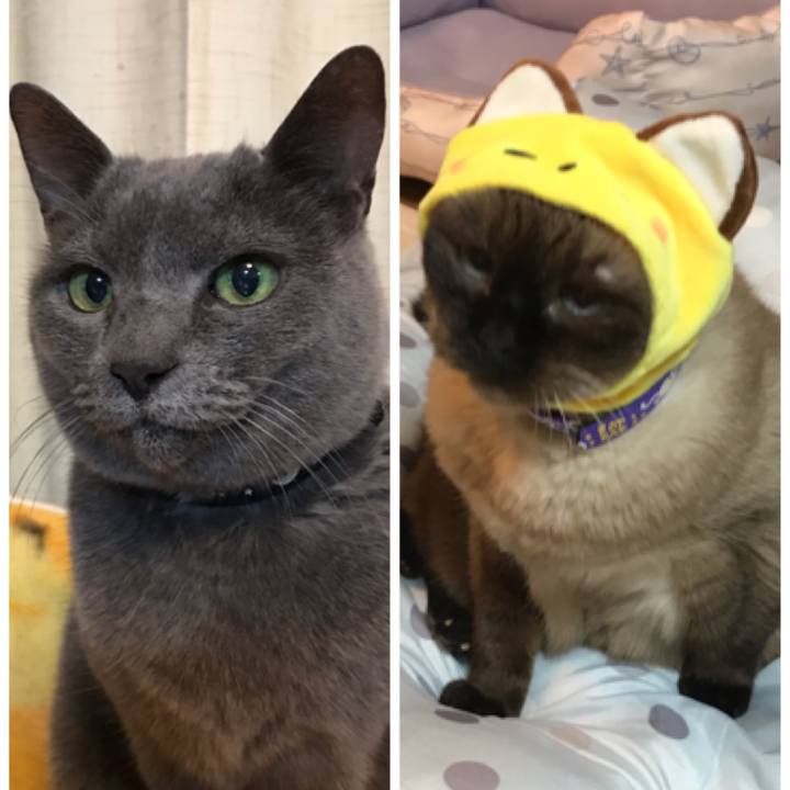 801b68a5 78a8 4426 bfd0 7a1ddfcd3100 1544840642357