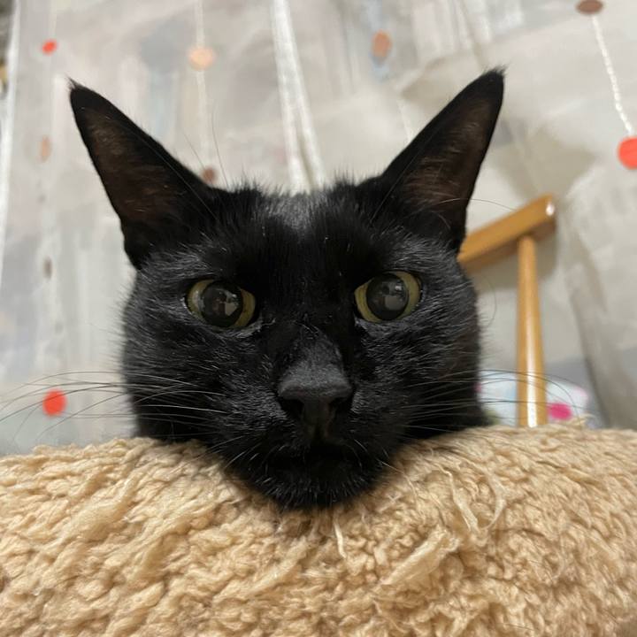 801b6d71 9b55 4dd8 b78a 850dcb632474 1759670039538