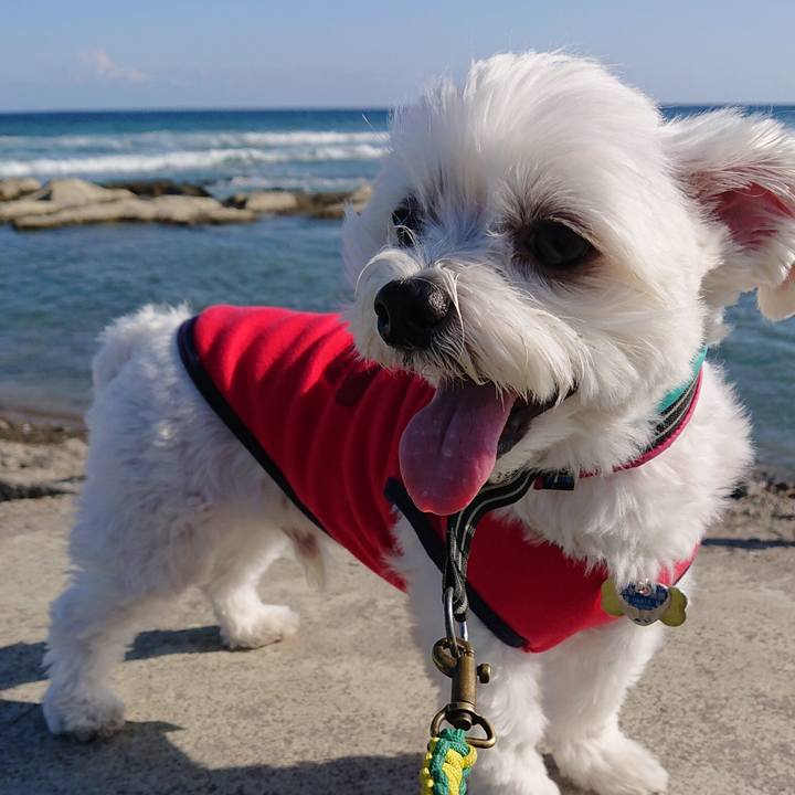 801c1f45 a294 4b89 af68 c0294b18e319 1542507273027