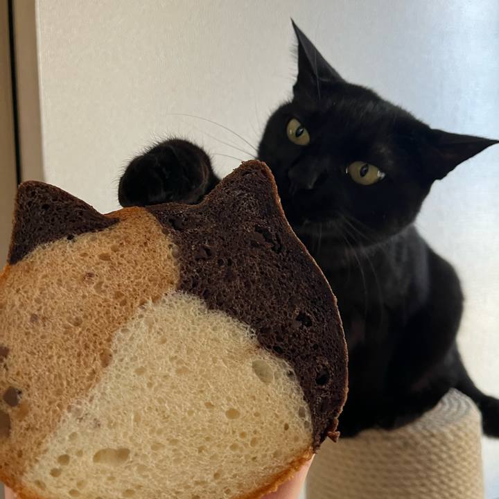 801c880d 44a5 4bcb 8402 1d064253a5b4 1745977275888