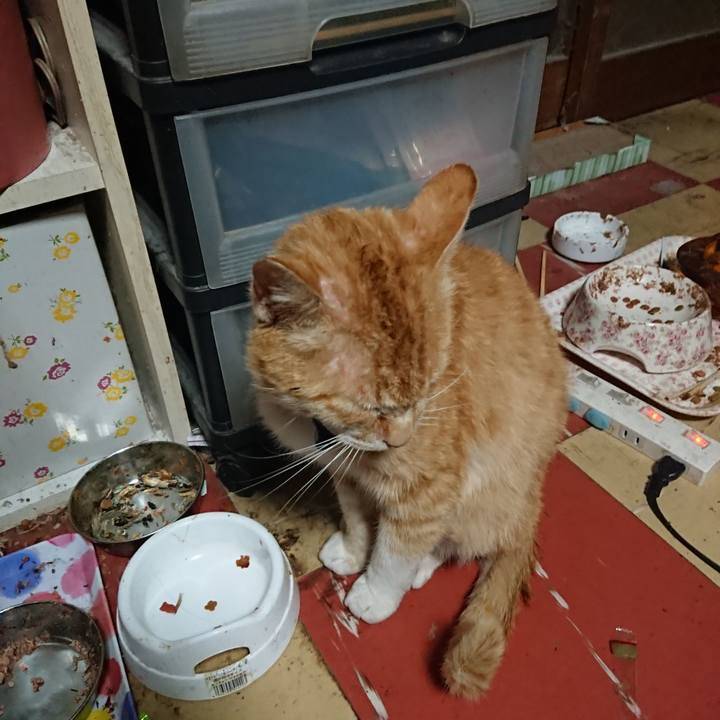 801cc68a 7dce 4c5b 9015 1519909b4a2c 1559073594527