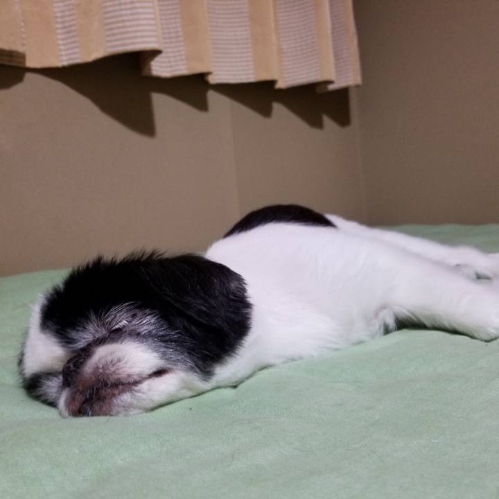 801d5b1d b651 43c2 ab3e 124523f03269 1595251681269