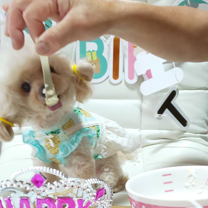 801d697f f229 424d b204 c910dfc38dda 1724483324027