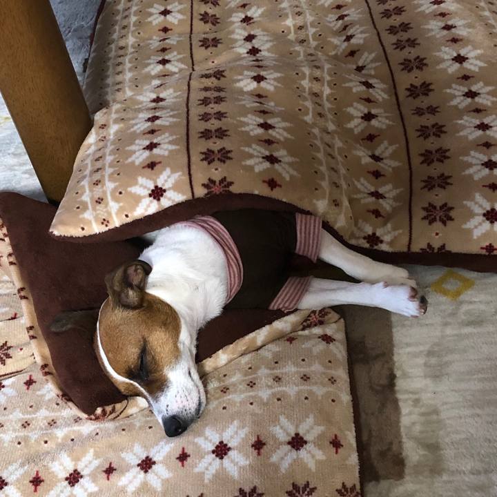 801d7c1b 6552 4fc1 8a1c fa1f9c7a83da 1574208018227