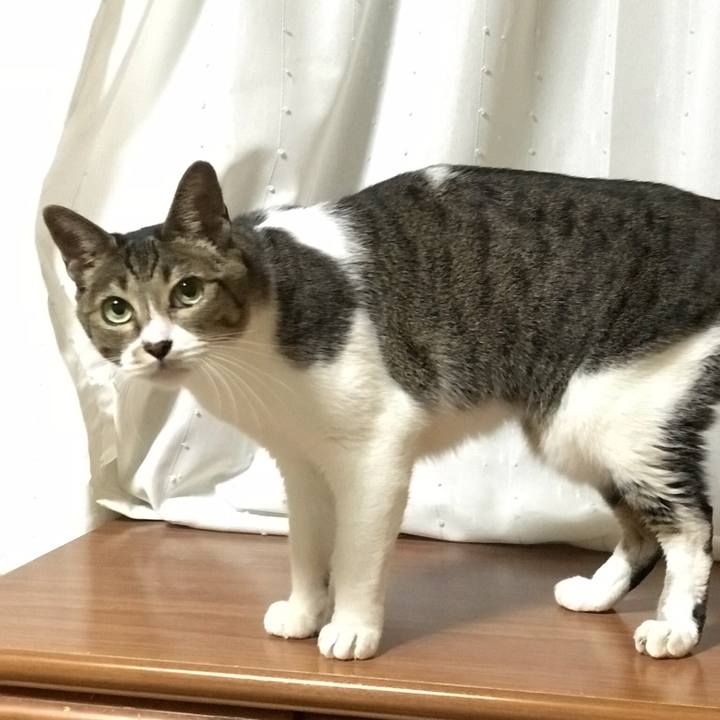 801d9723 11cf 456d a667 8b81988c7724 1536457507761