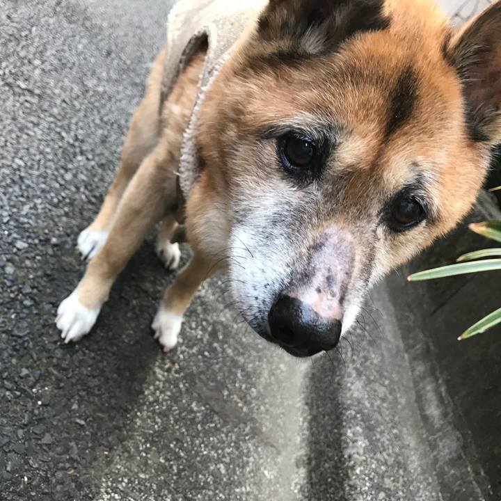 801d99f0 5b9c 4b92 b7c9 d47609a079a6 1550442503252