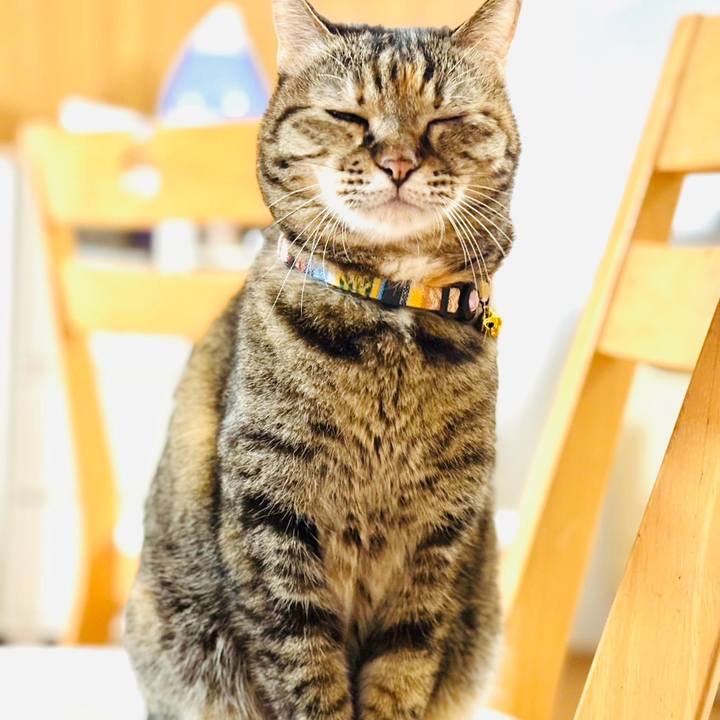 801dc9ea 7a80 4ec6 bb0f f2cf502c8e82 1728832579611