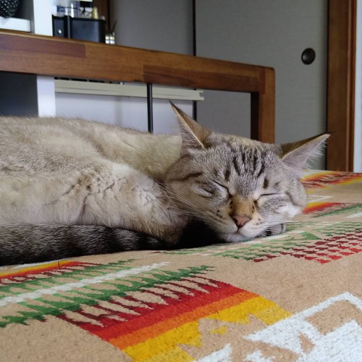 801df040 8a6a 429f ad6a e11a529f45d7 1629006533941