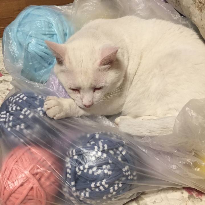 801e0200 6d6e 43b0 9b7e 44f7fd280654 1533927530420