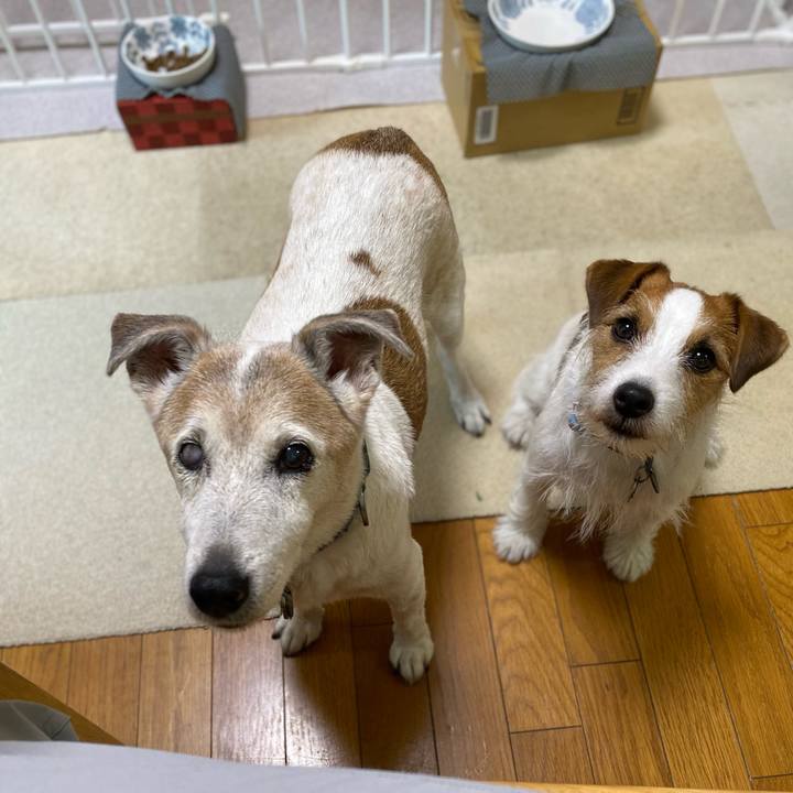 801e0f98 4cad 4bfa ac14 6767ad71b614 1687213209656