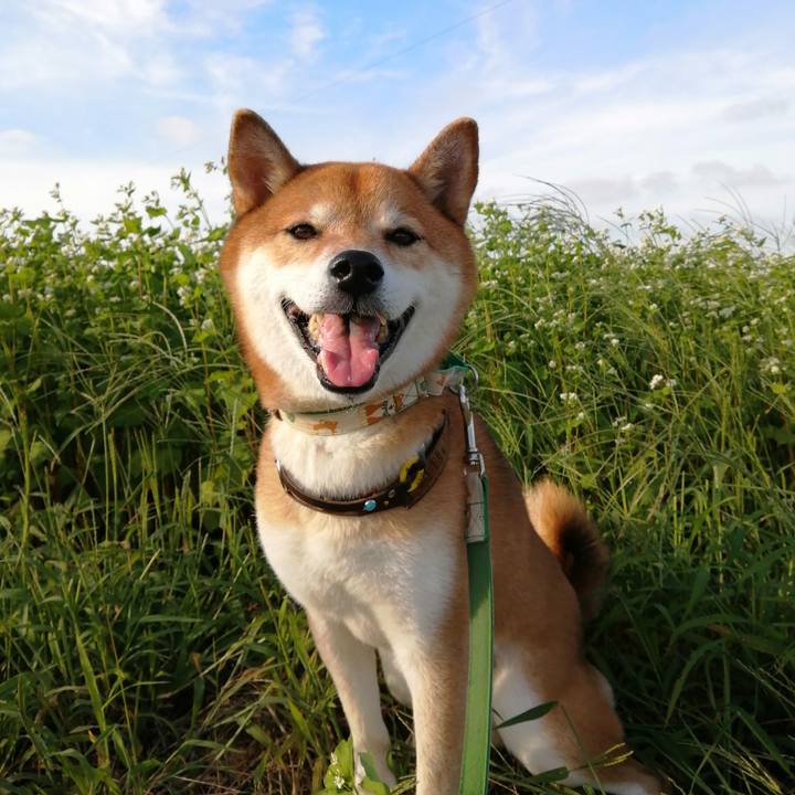 801e304a 8a40 4789 bba3 b51651e0396a 1663141525978