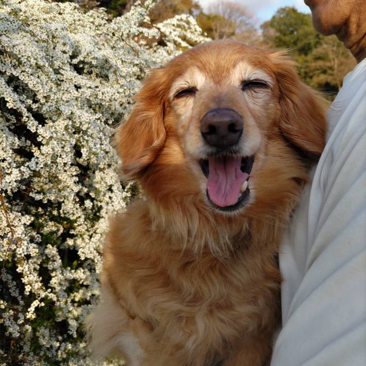 801e3840 8c9f 4b29 8358 8014383ecf1f 1744039329148