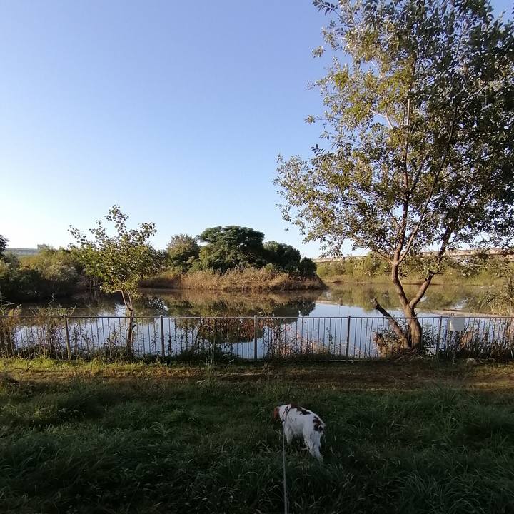 801e3f09 980b 45db ac04 75e1c7682861 1572955786559