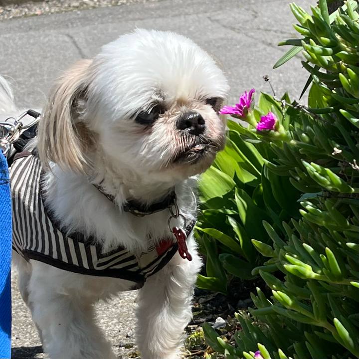 801e4e72 8fa5 4987 9426 692b8e2af38b 1684223754915