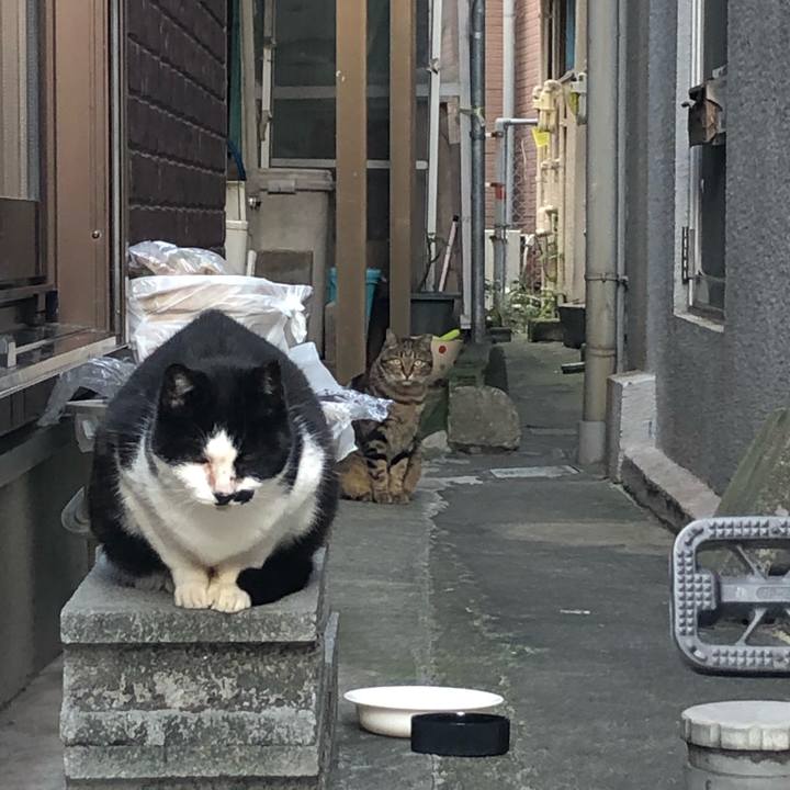 801e73b1 b245 43d1 9f24 482ea2559105 1572730943793