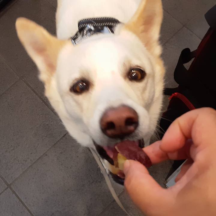 801e7697 7588 4720 b78a c3bb0ff42737 1688825612206