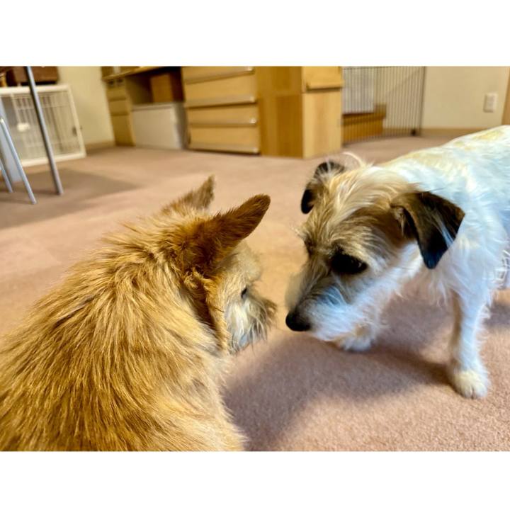 801eb4f7 9e3f 4767 9ac4 95db16f99101 1711675726758