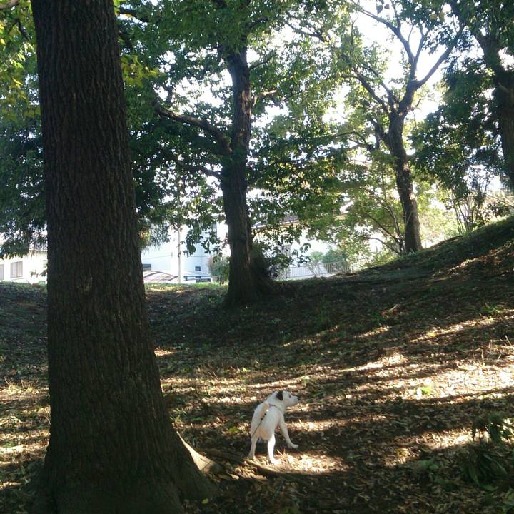 801f06f0 490e 4c56 b52a f37035e2183d 1510183134408