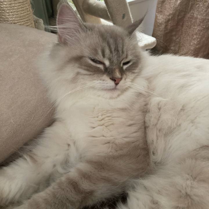 801fc823 e54f 4b6c 81c7 0d18ed92b1fb 1691401837689