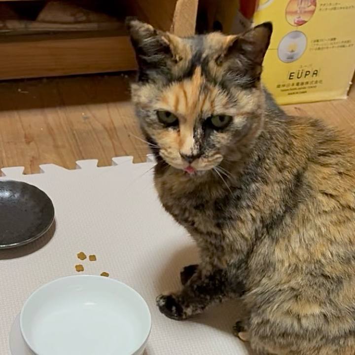 801fd123 a796 4e3e a6ce 768de1ea5779 1747531832564