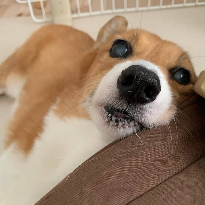 801fd22b 3b2f 4ef9 8221 08a136b47248 1724463690708