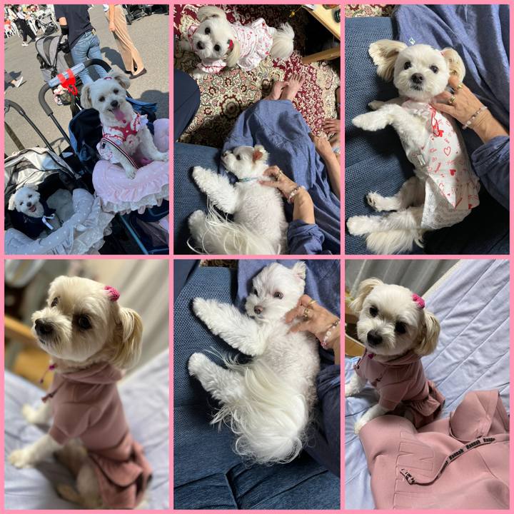 80201fb8 c2fd 45b3 9c86 2198570b7c4f 1664103816171