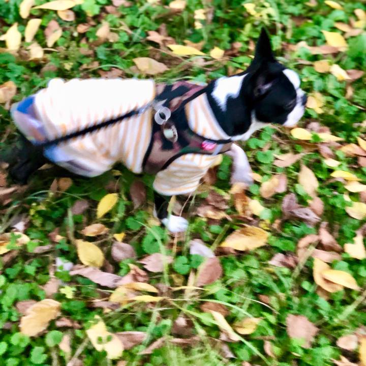 80208677 d5af 4cbd bafa 922bb0644683 1543026921226