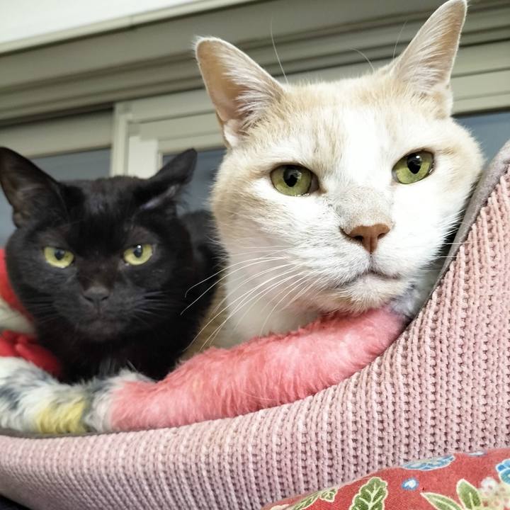 80208917 bd36 4b87 8467 50c94557cf9e 1706606942355