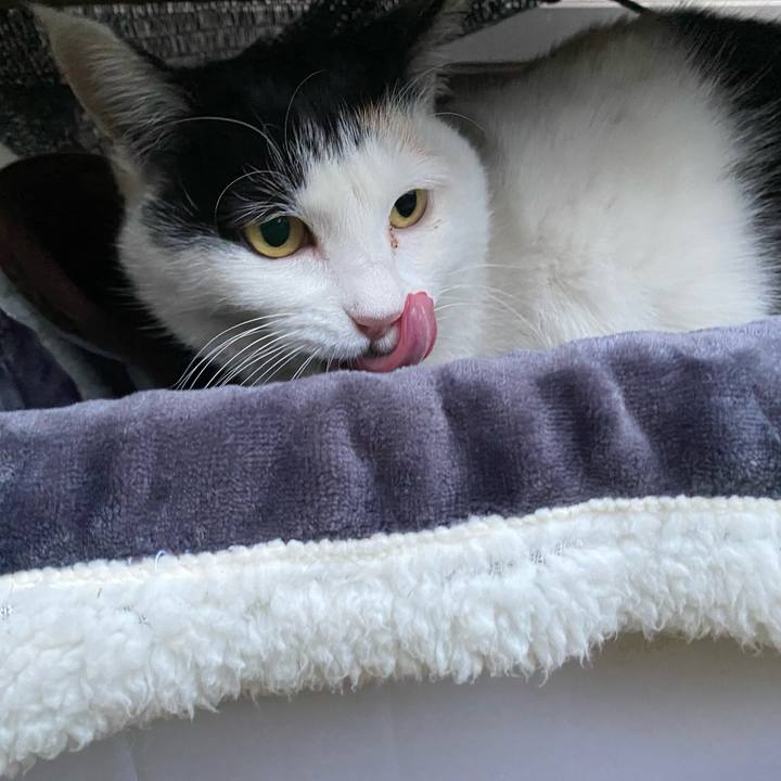 80209414 aab4 44fc ae53 9068b344cbb8 1642072722134