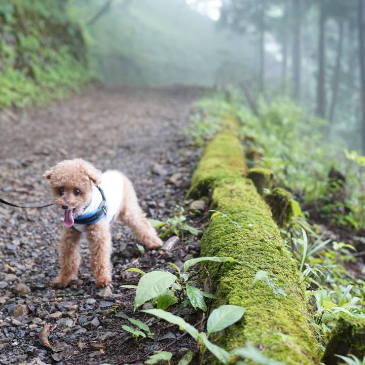 8020ab40 28f3 45e5 a9e3 aa875d96fe33 1665296768751