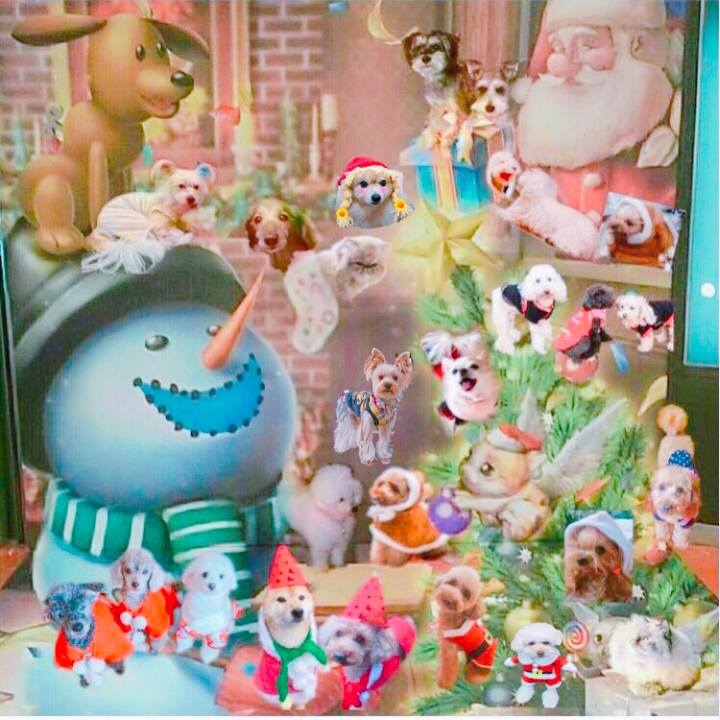 8020c50d 2562 4b95 9069 62345017a1ed 1512795964752