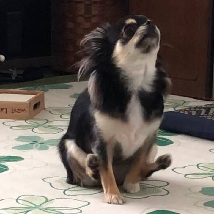 8020c85e 0d96 40ed 9e91 ecc27933f88e 1588732342281