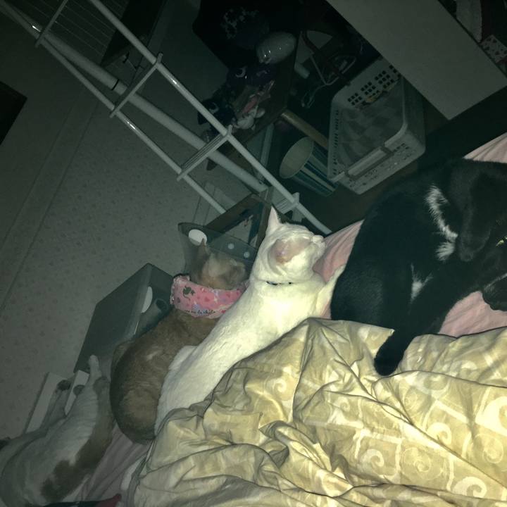 8020dd7c 4119 4075 98ce b56d3ea56ba9 1533741671327