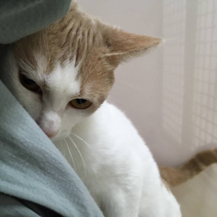 8020e972 6587 44a5 9414 3100ad046c6b 1522229953430