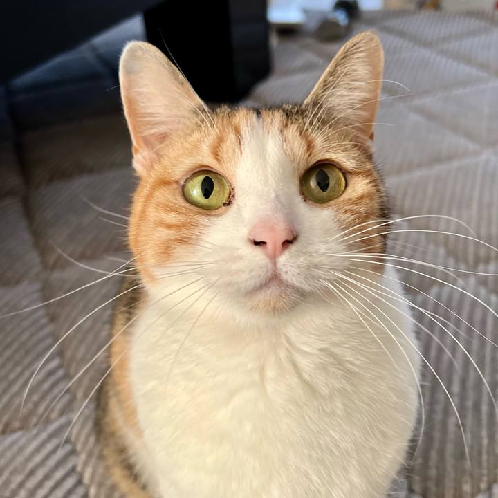 80215f32 8255 4af0 be80 3511f46eeac5 1771040635226