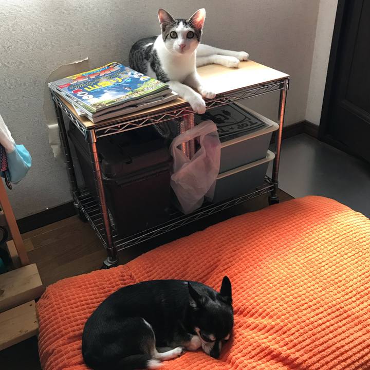 8021a452 21af 4bbc 8a1f ce52ce3d6433 1538872723209