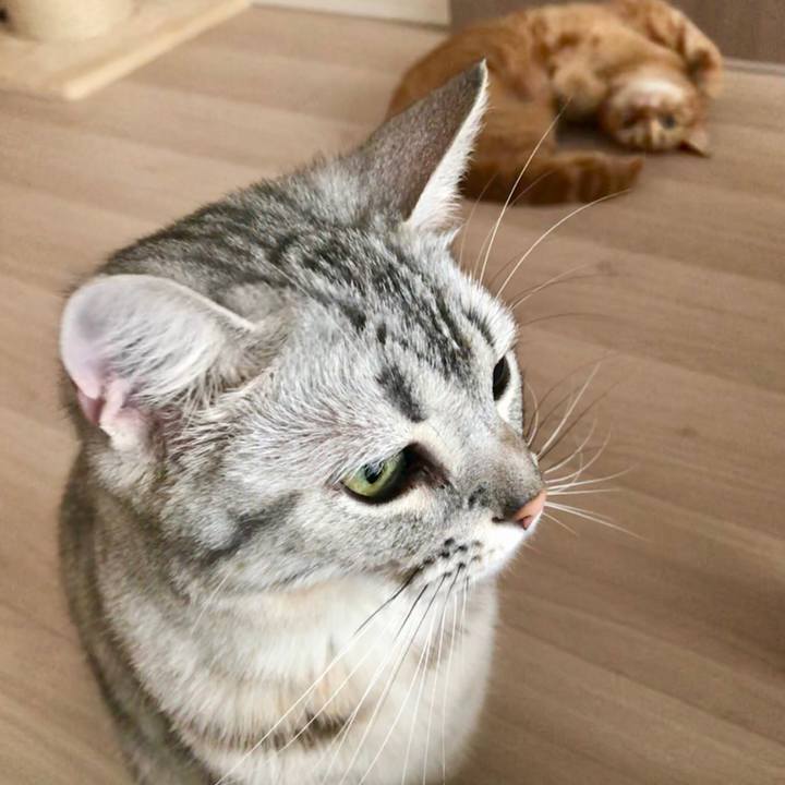 8021acda faff 4537 9fd8 ecc55fc78e91 1526596669404