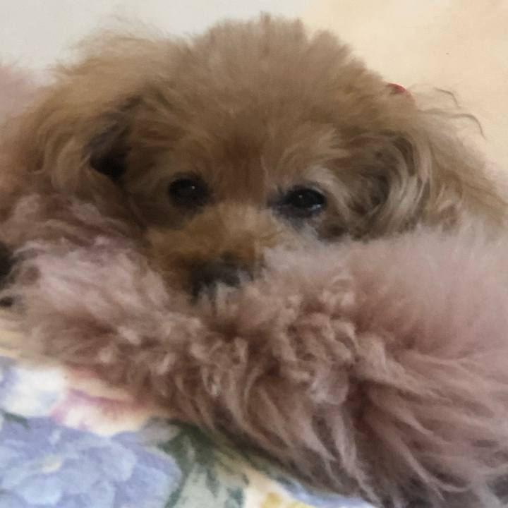 8021e311 71b1 4e83 b776 f2bafc5e304e 1617200001527