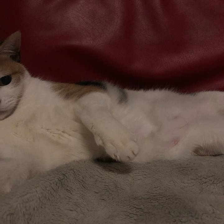 80223b59 9b74 4dc5 aac8 8a0f0c215bff 1608670523749