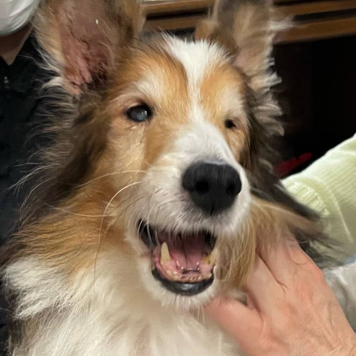 80224f5d dc50 4914 962d 8f97a78b7a9a 1652505965101