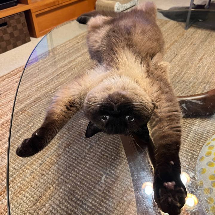 8022622e 3964 4eda 8291 f7001b2e615a 1751371505520