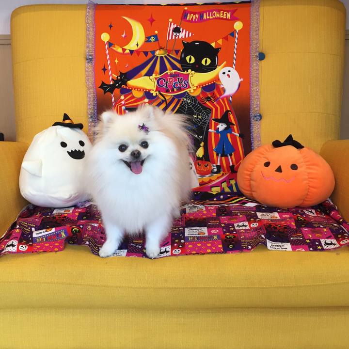 80228e3e 00f1 4b76 9f27 c8f83fc1a287 1571635455086