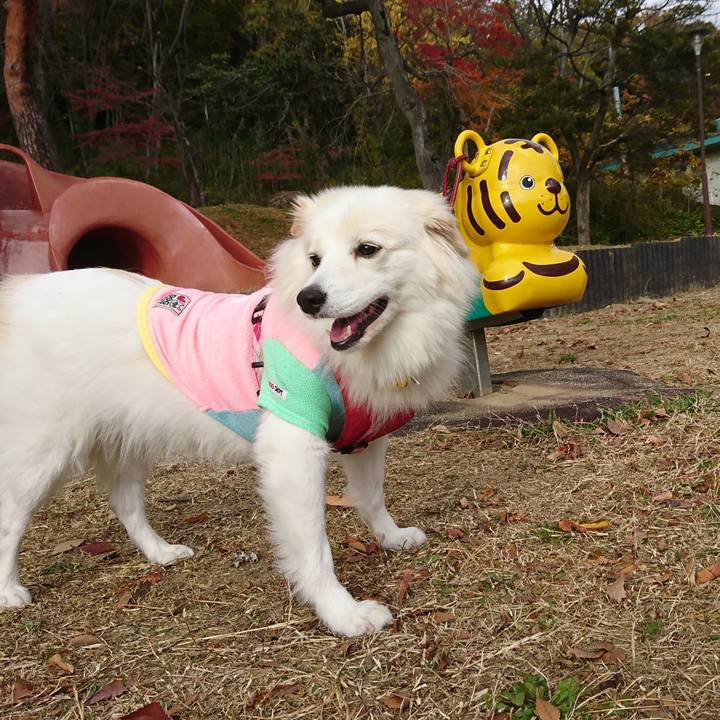 80229678 6088 4ede 81c6 31bcae87e6b1 1542699939803