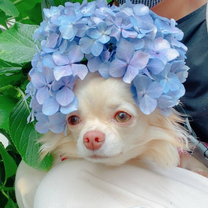 8022a0be 54ca 47b7 a81d 7dc794e22832 1623063884802