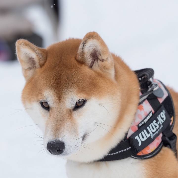 8022bda0 1f46 4ee8 8266 d6f0ea9dcdfb 1546315449673